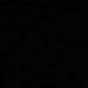 Meet your Posher, Audrey